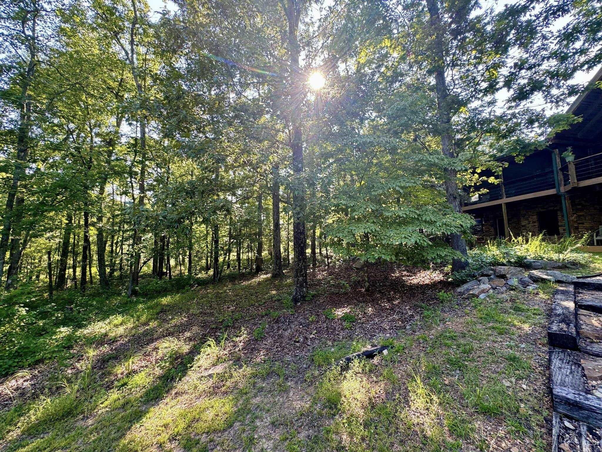 4003 Sunny Fox Mountain View, AR 72560