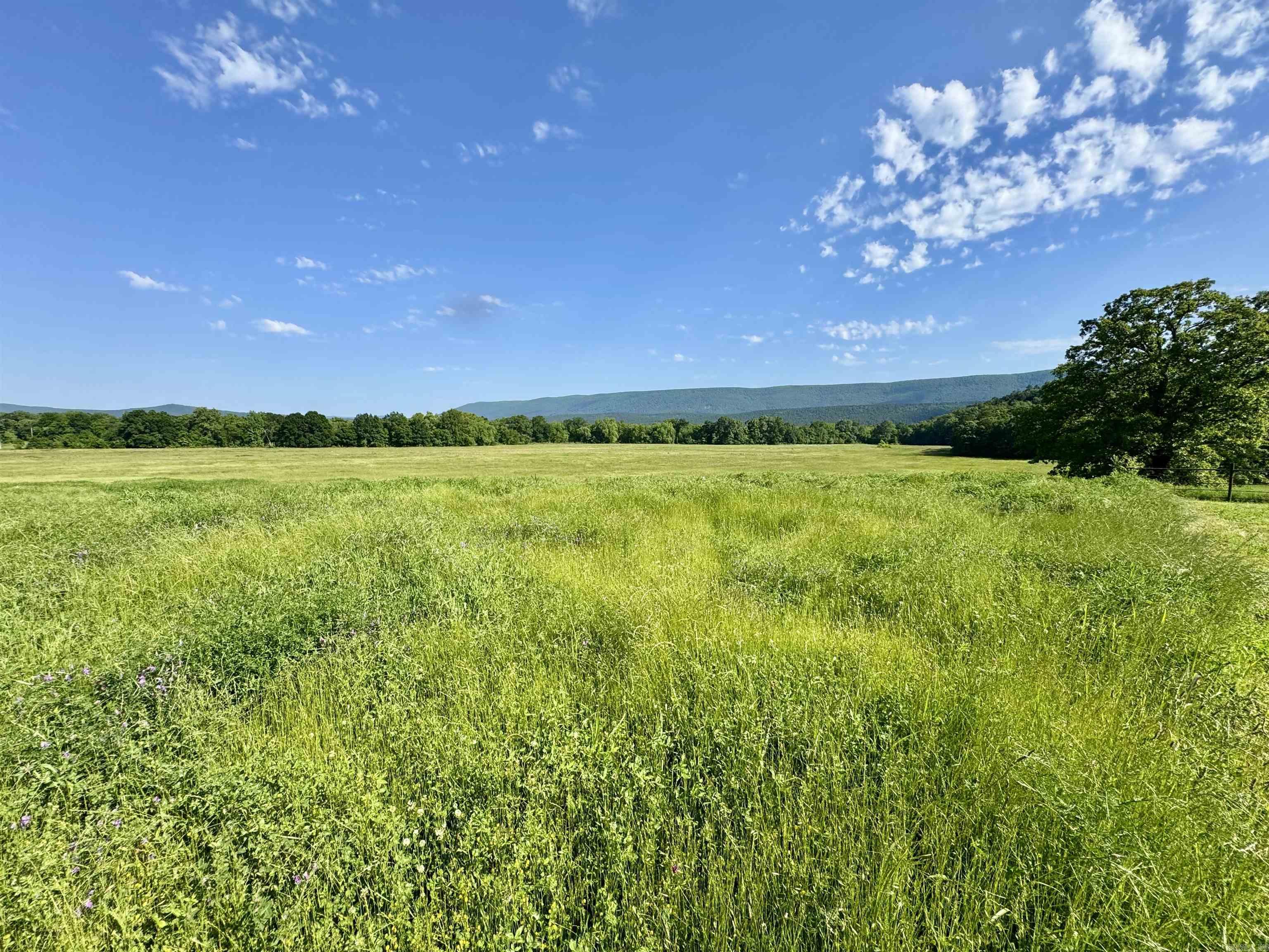 35871  Blackfork  Mena, AR