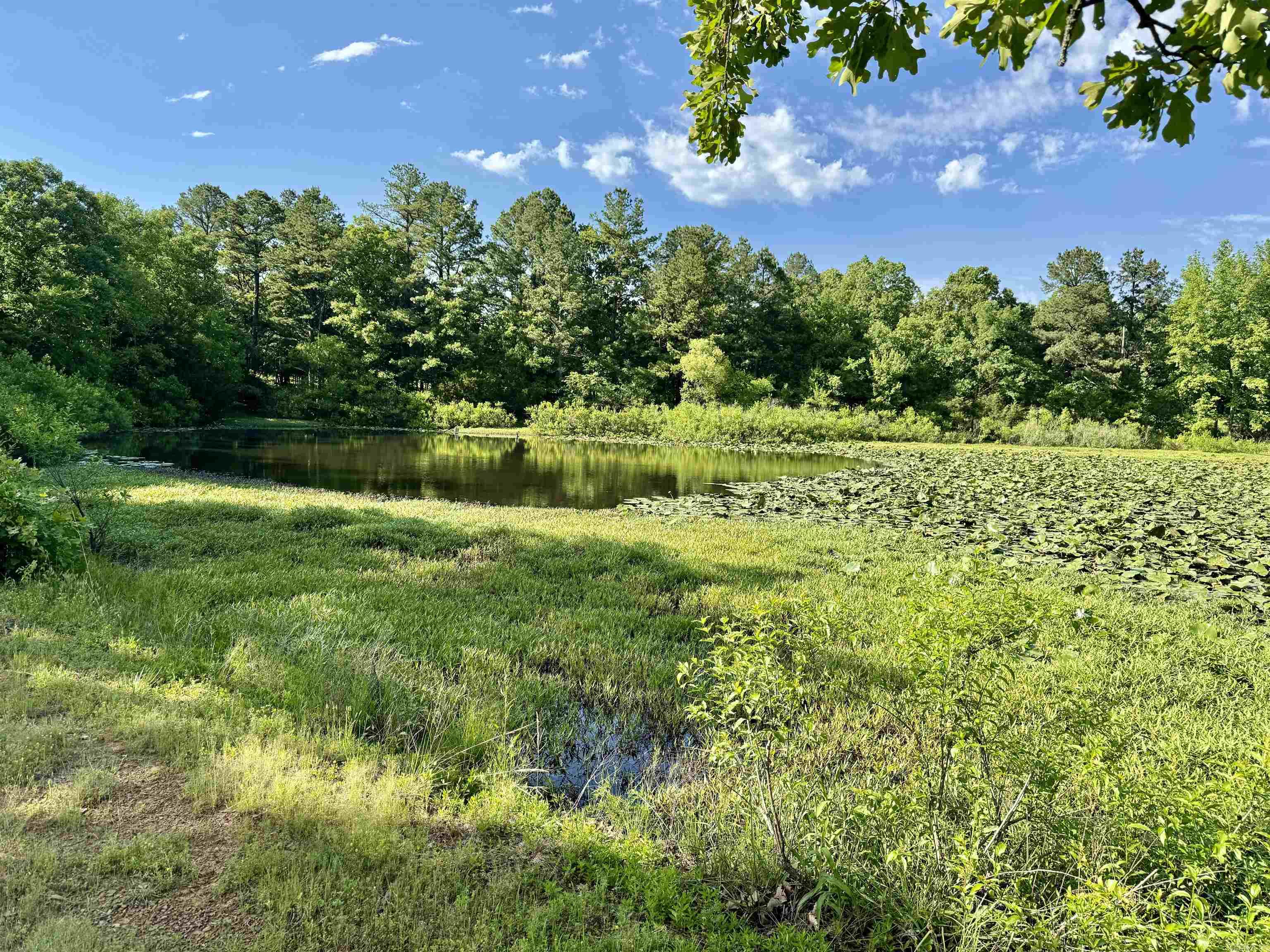 35871  Blackfork  Mena, AR