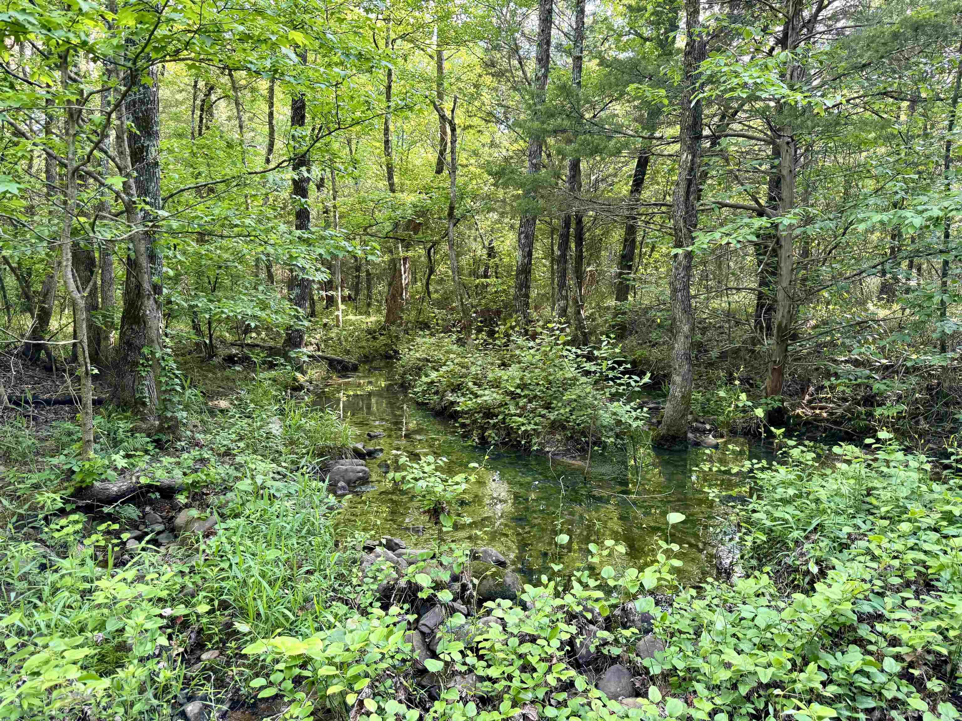 35871  Blackfork  Mena, AR