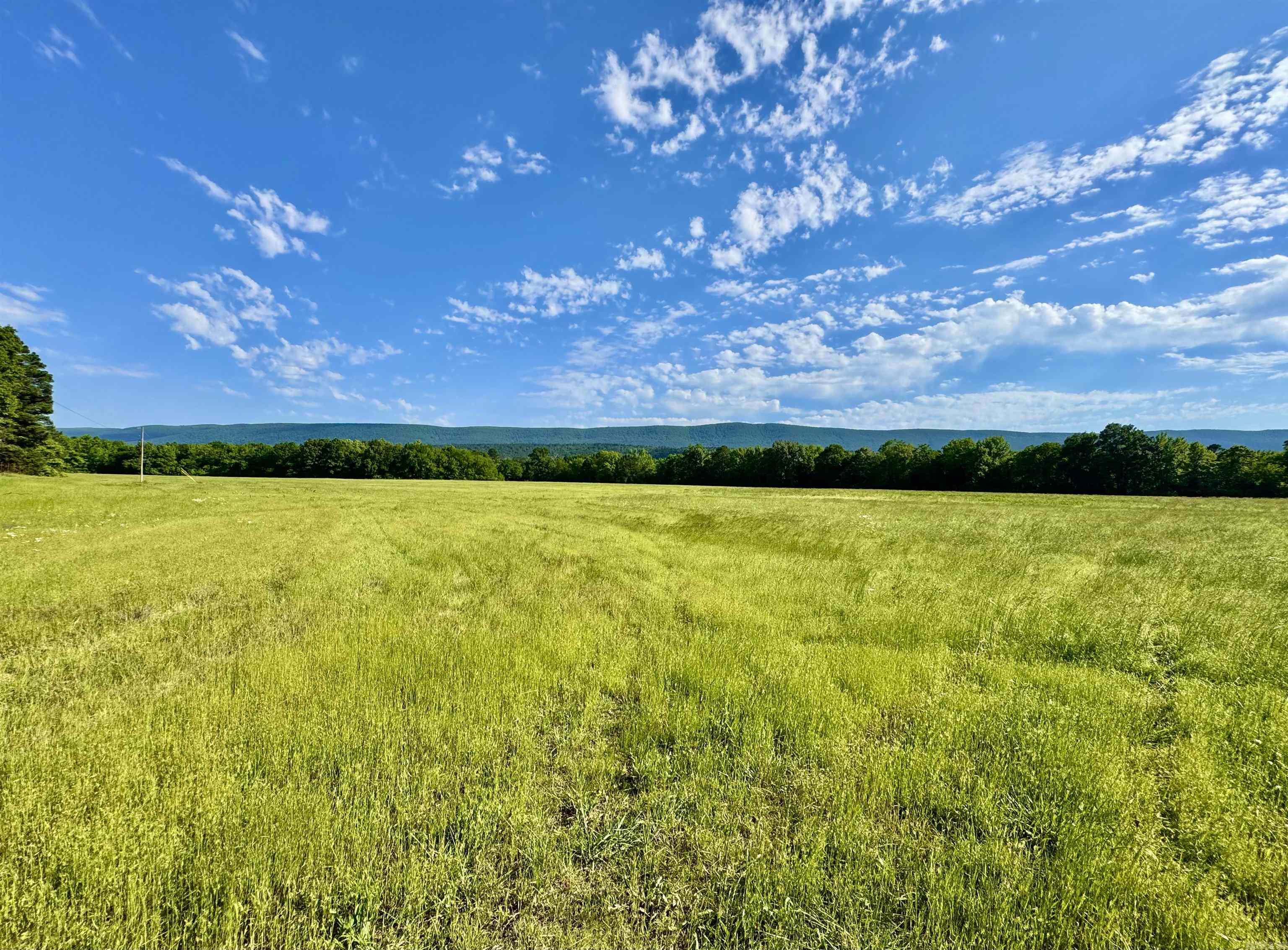 35871  Blackfork  Mena, AR