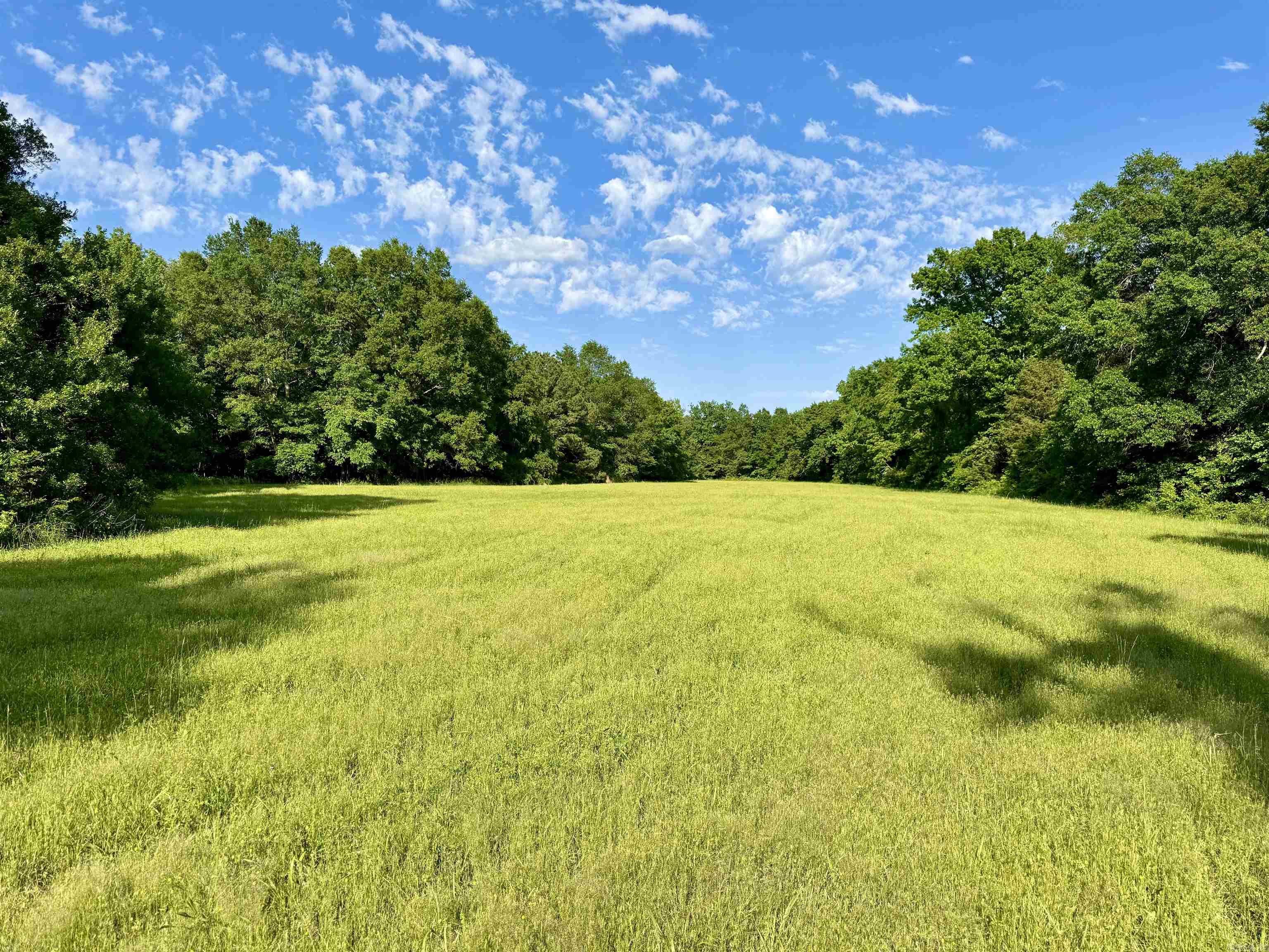 35871  Blackfork  Mena, AR