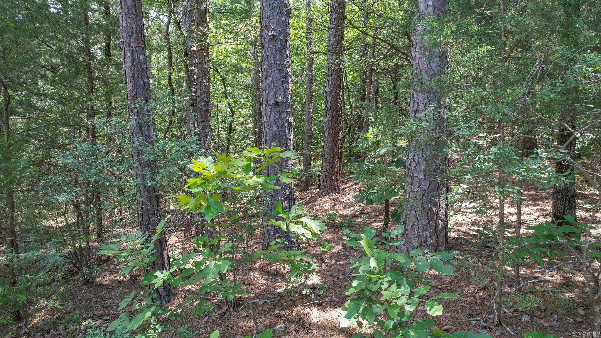 35871  Blackfork  Mena, AR