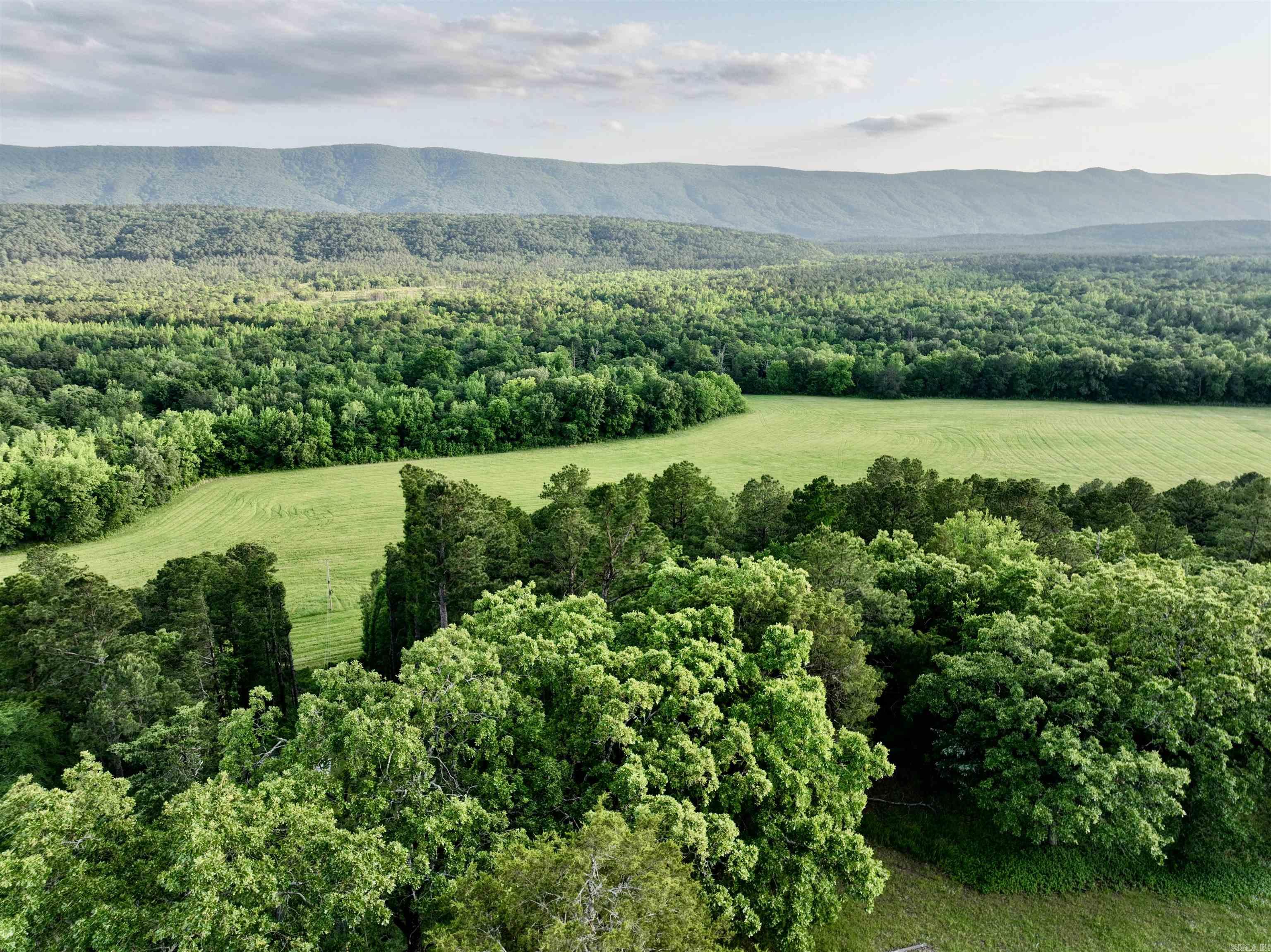 35871  Blackfork  Mena, AR