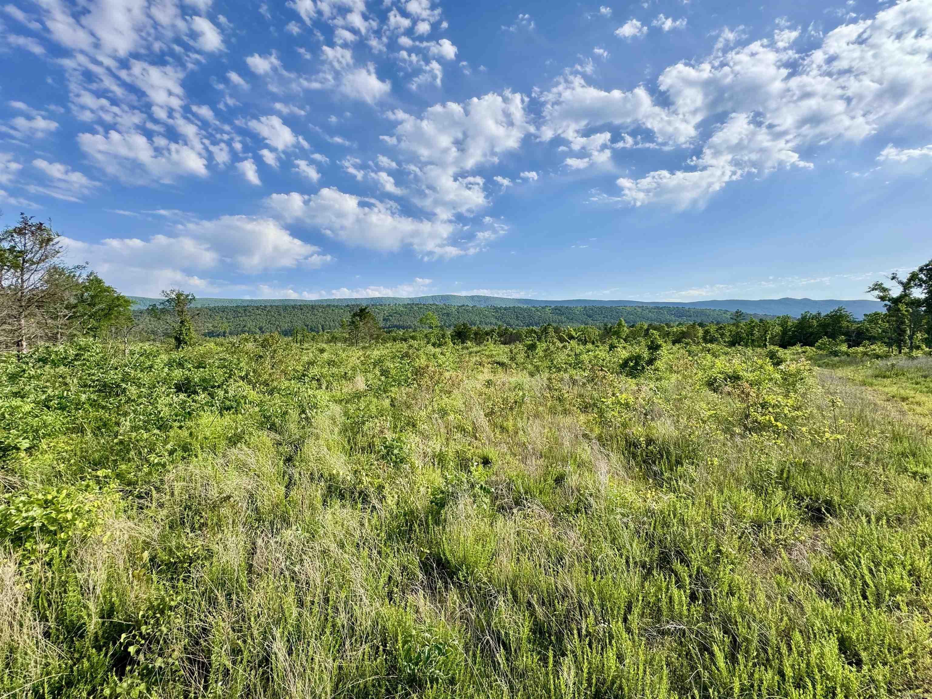 35871  Blackfork  Mena, AR