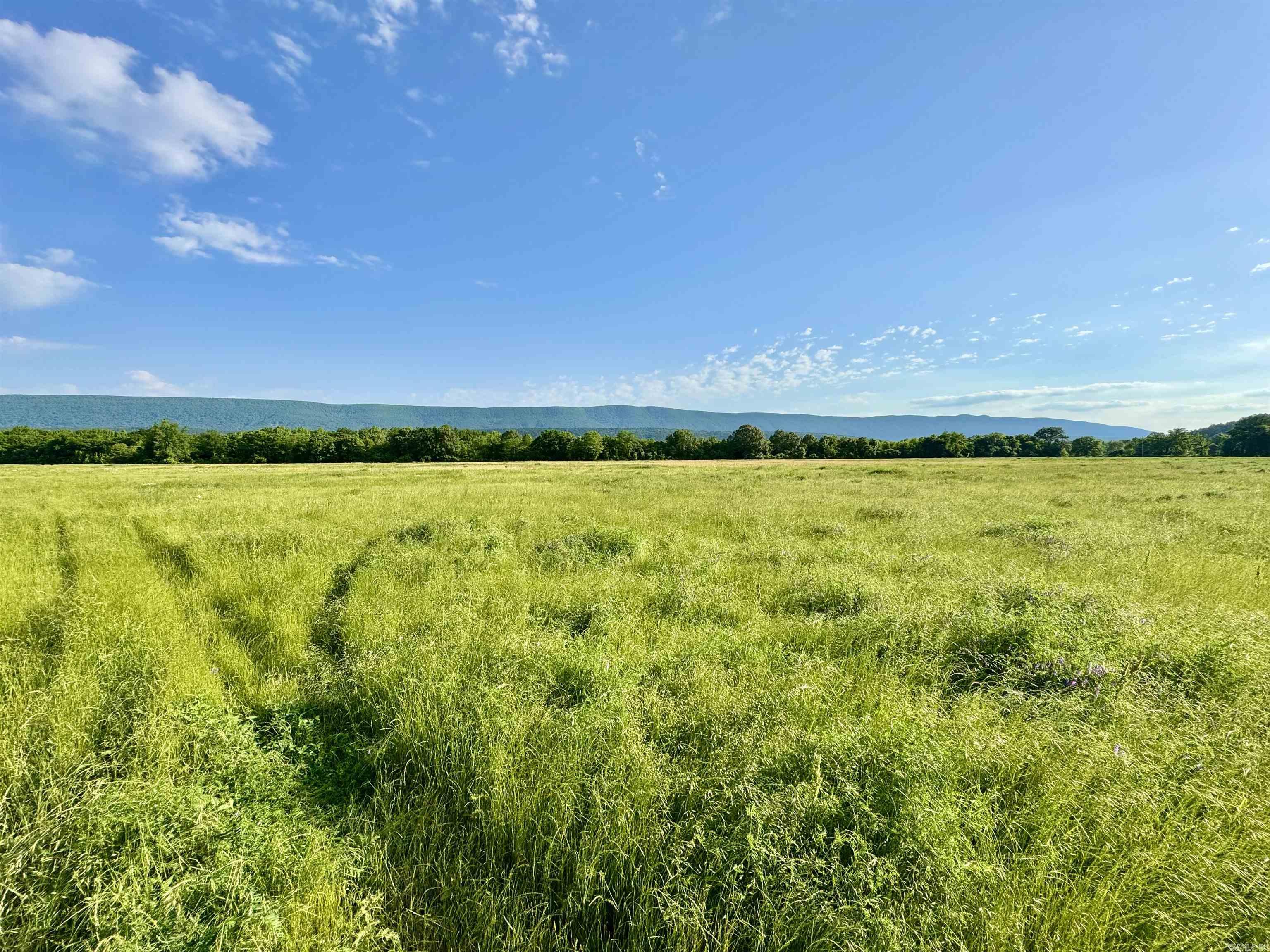 35871  Blackfork  Mena, AR