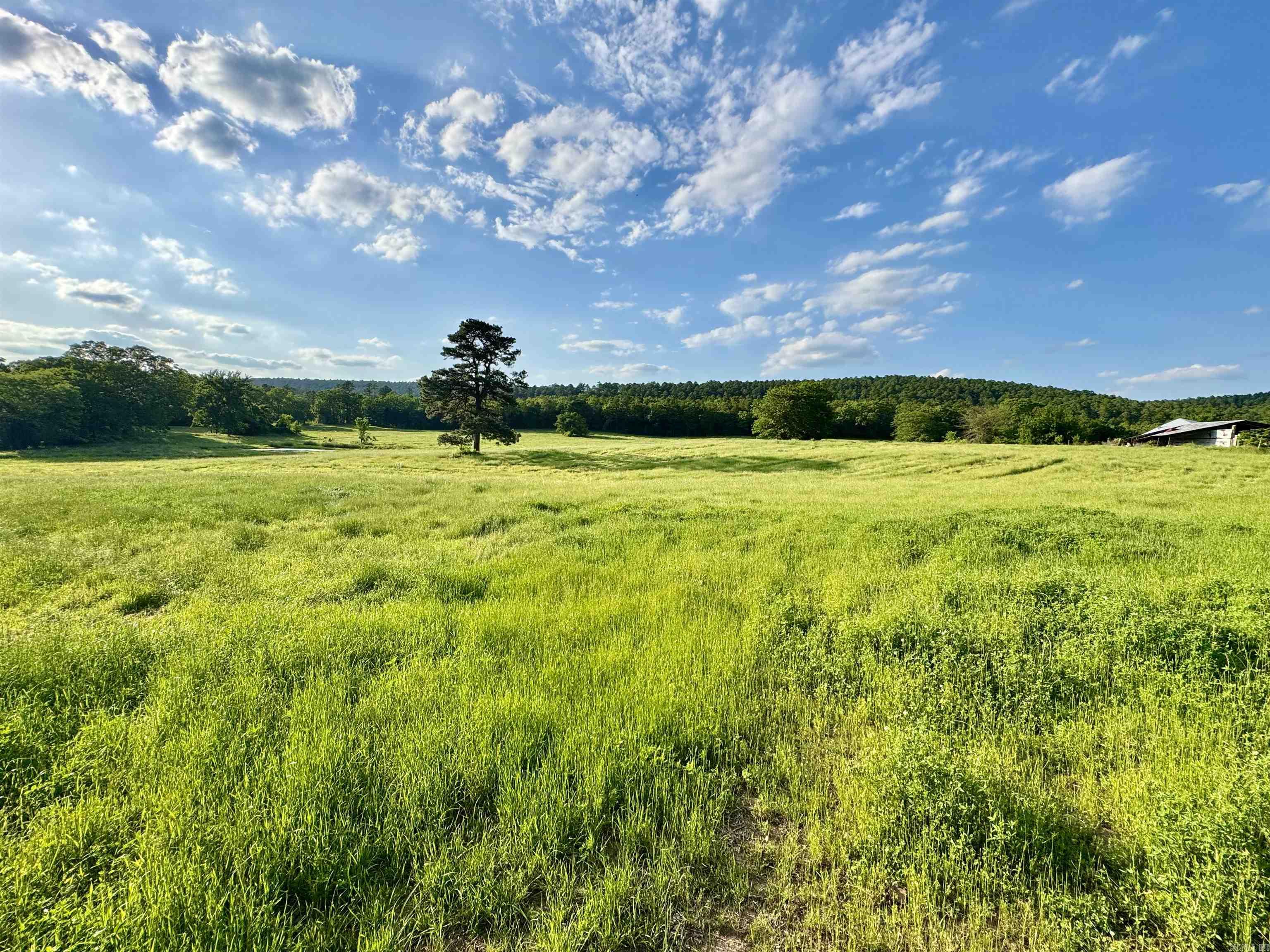 35871  Blackfork  Mena, AR