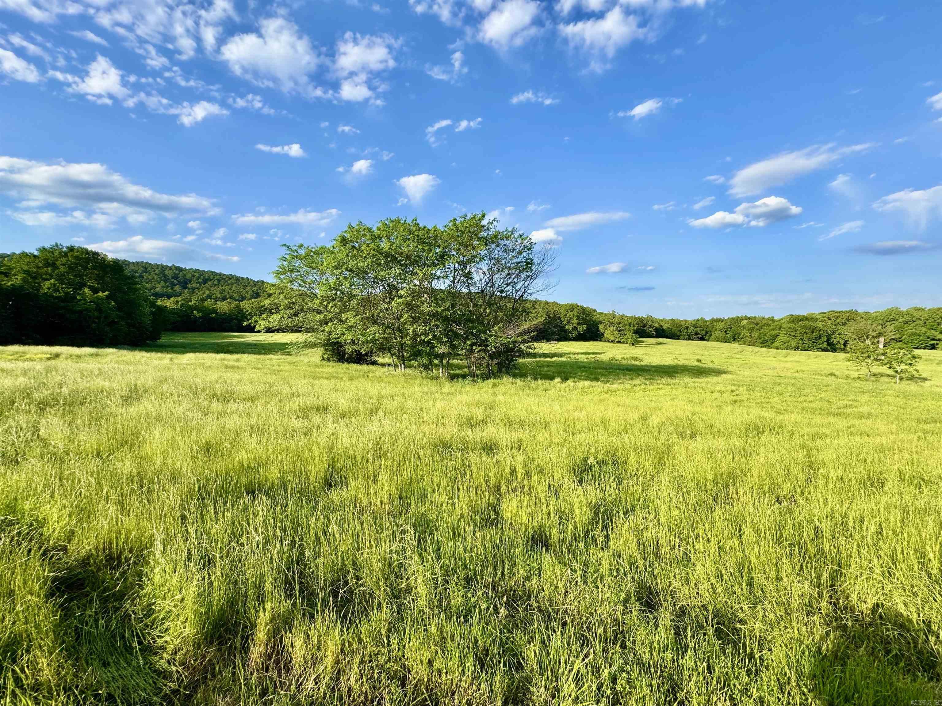 35871  Blackfork  Mena, AR