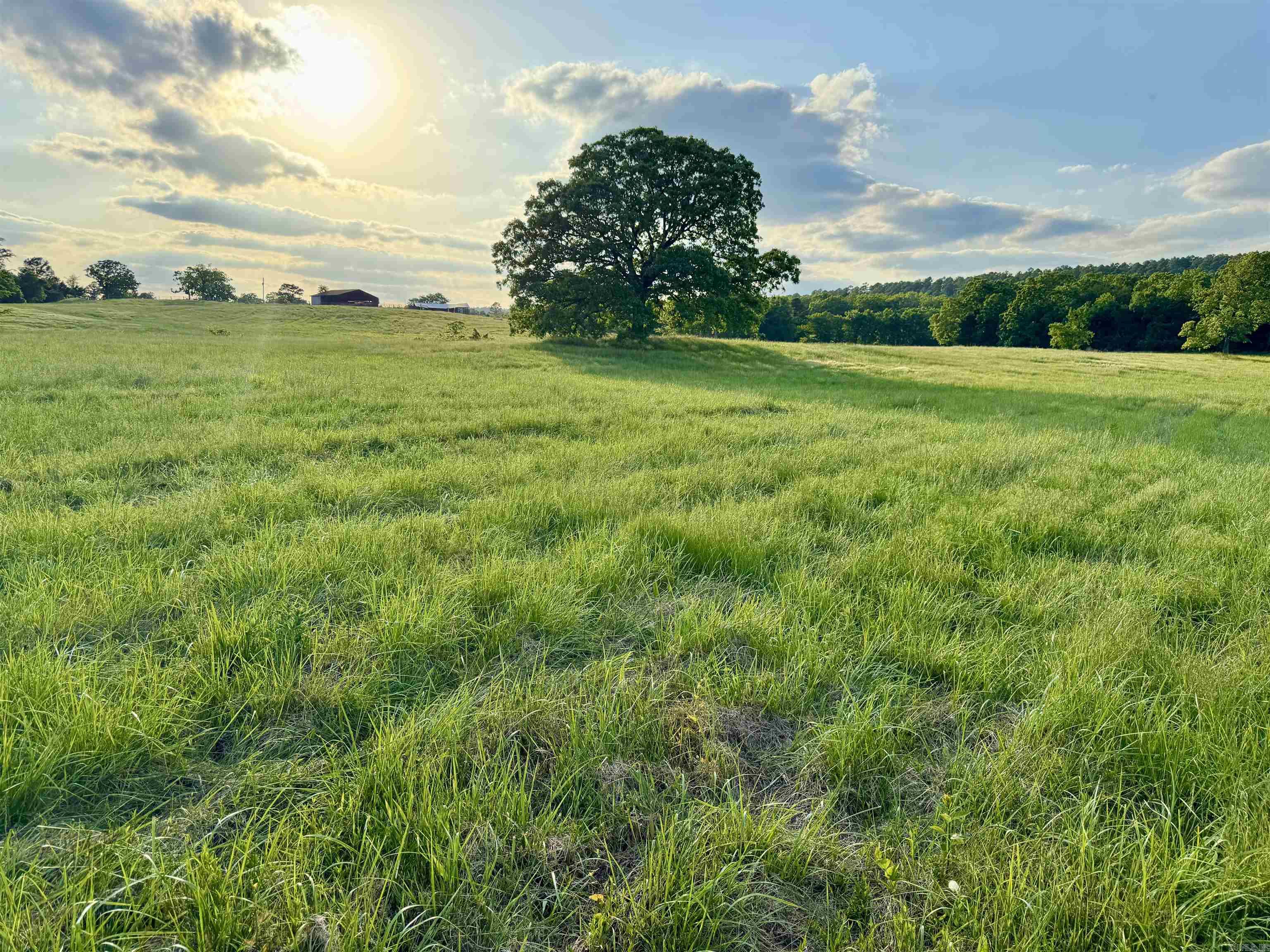 35871  Blackfork  Mena, AR