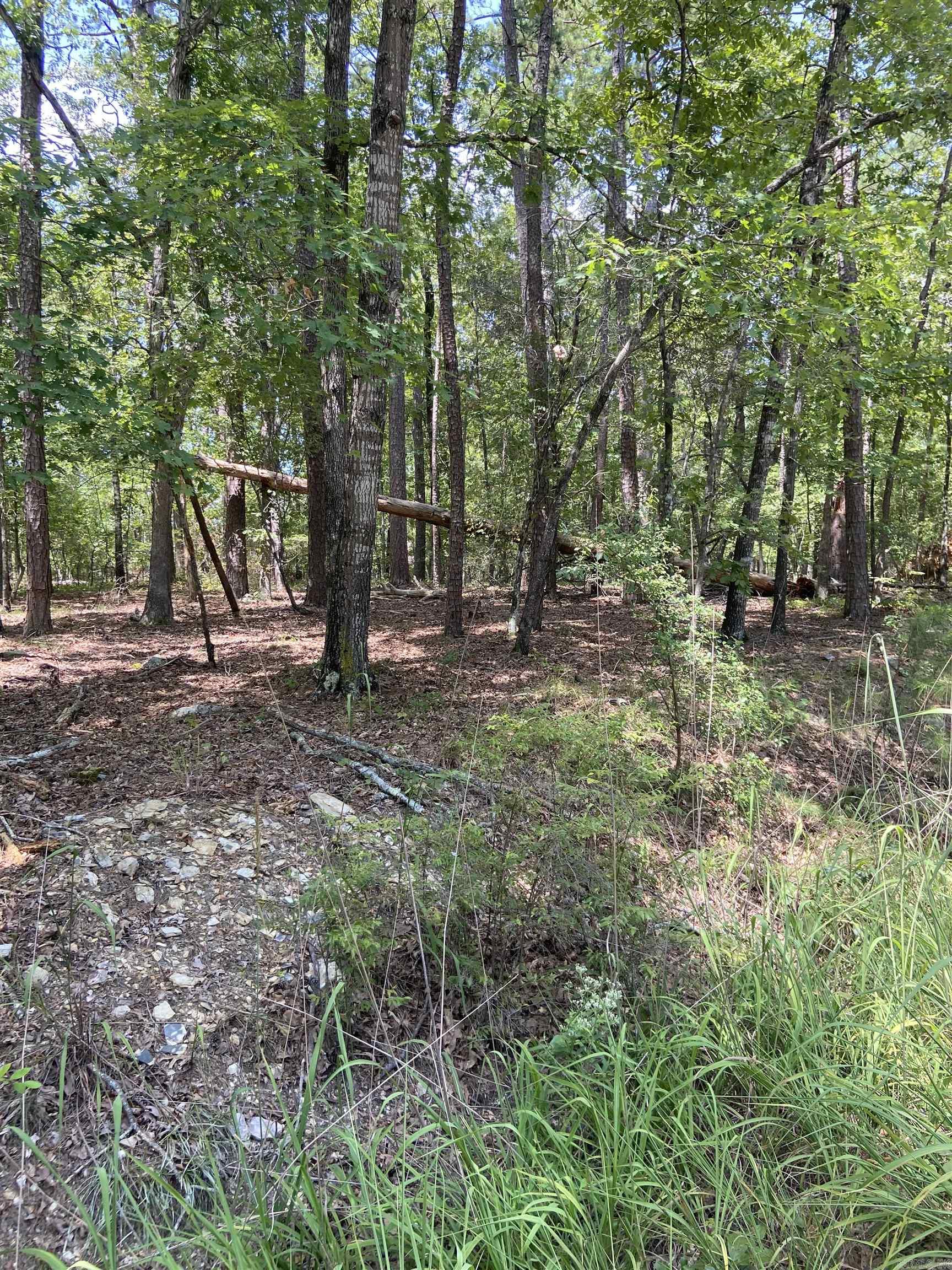 13  Reata  Hot Springs Village, AR
