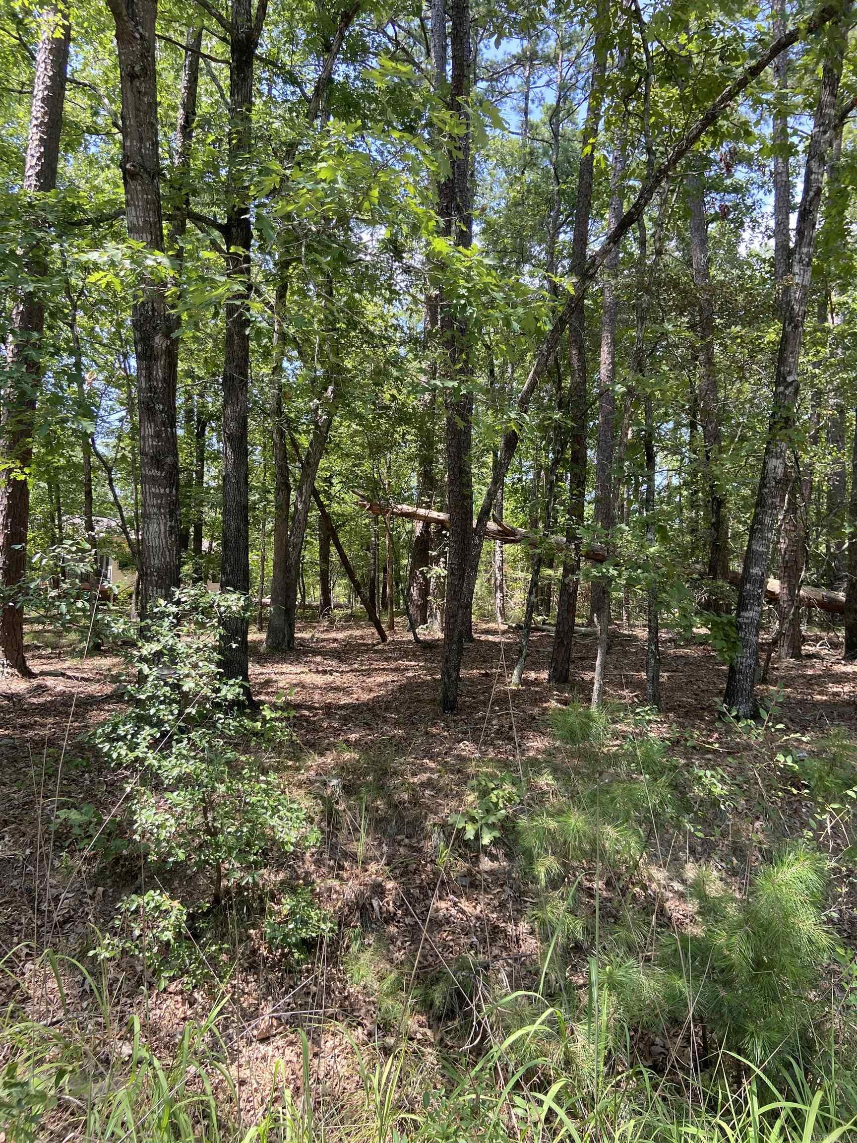 13  Reata  Hot Springs Village, AR