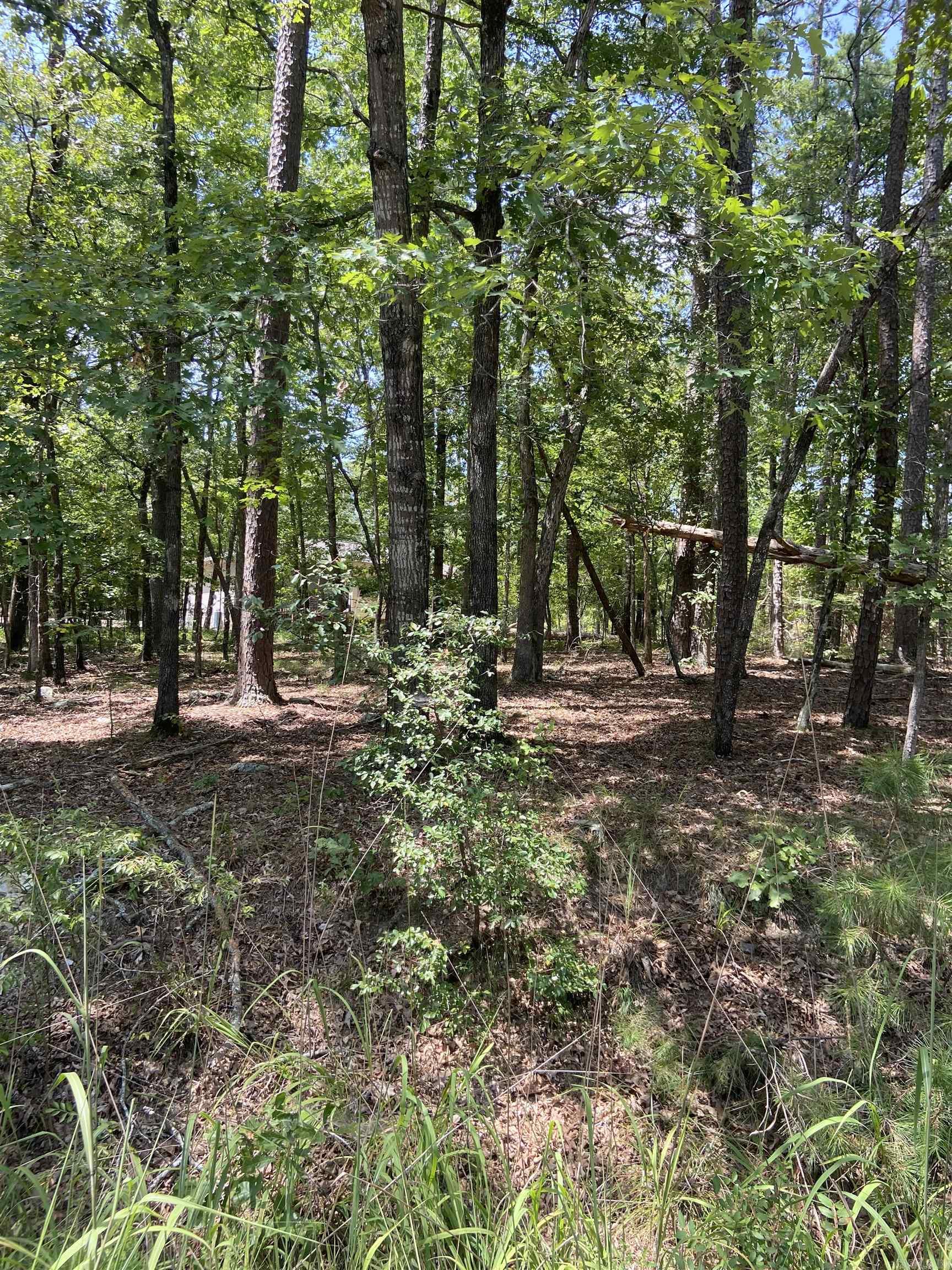 13  Reata  Hot Springs Village, AR