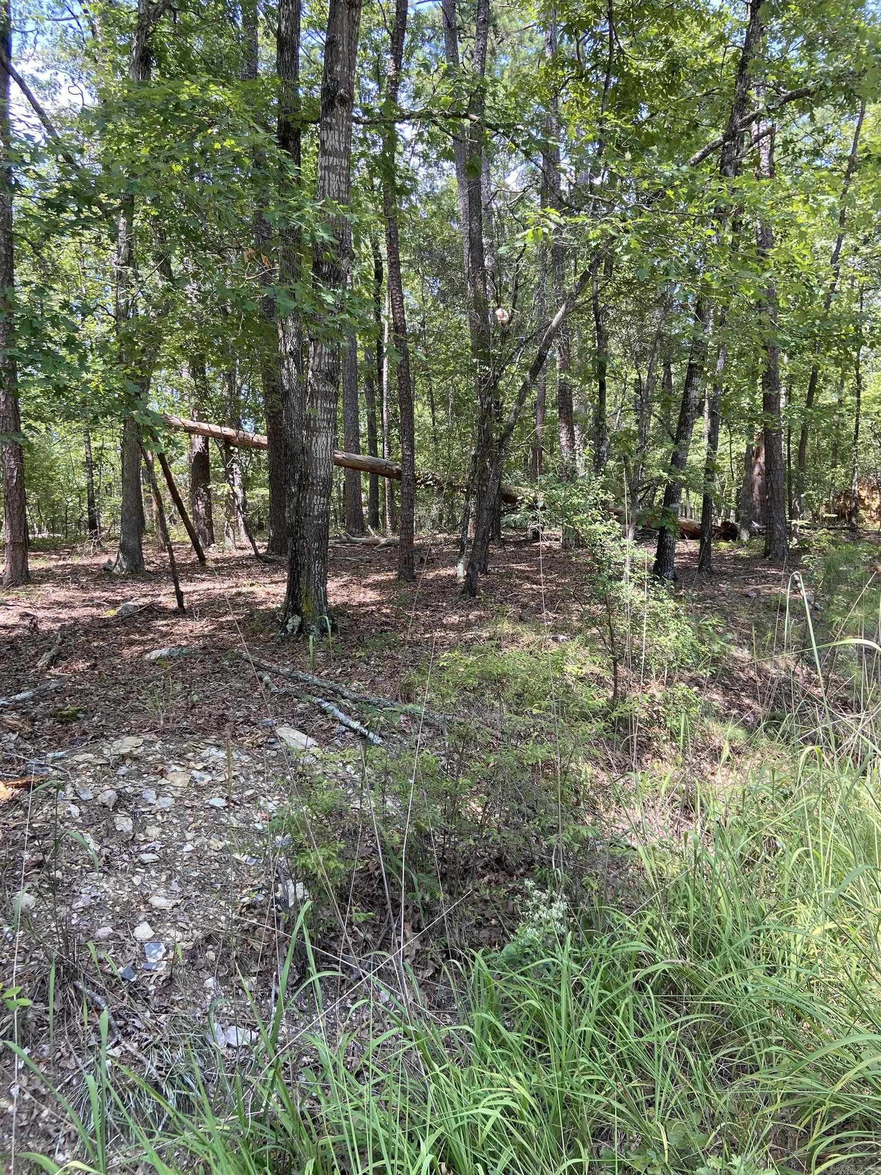 13  Reata  Hot Springs Village, AR