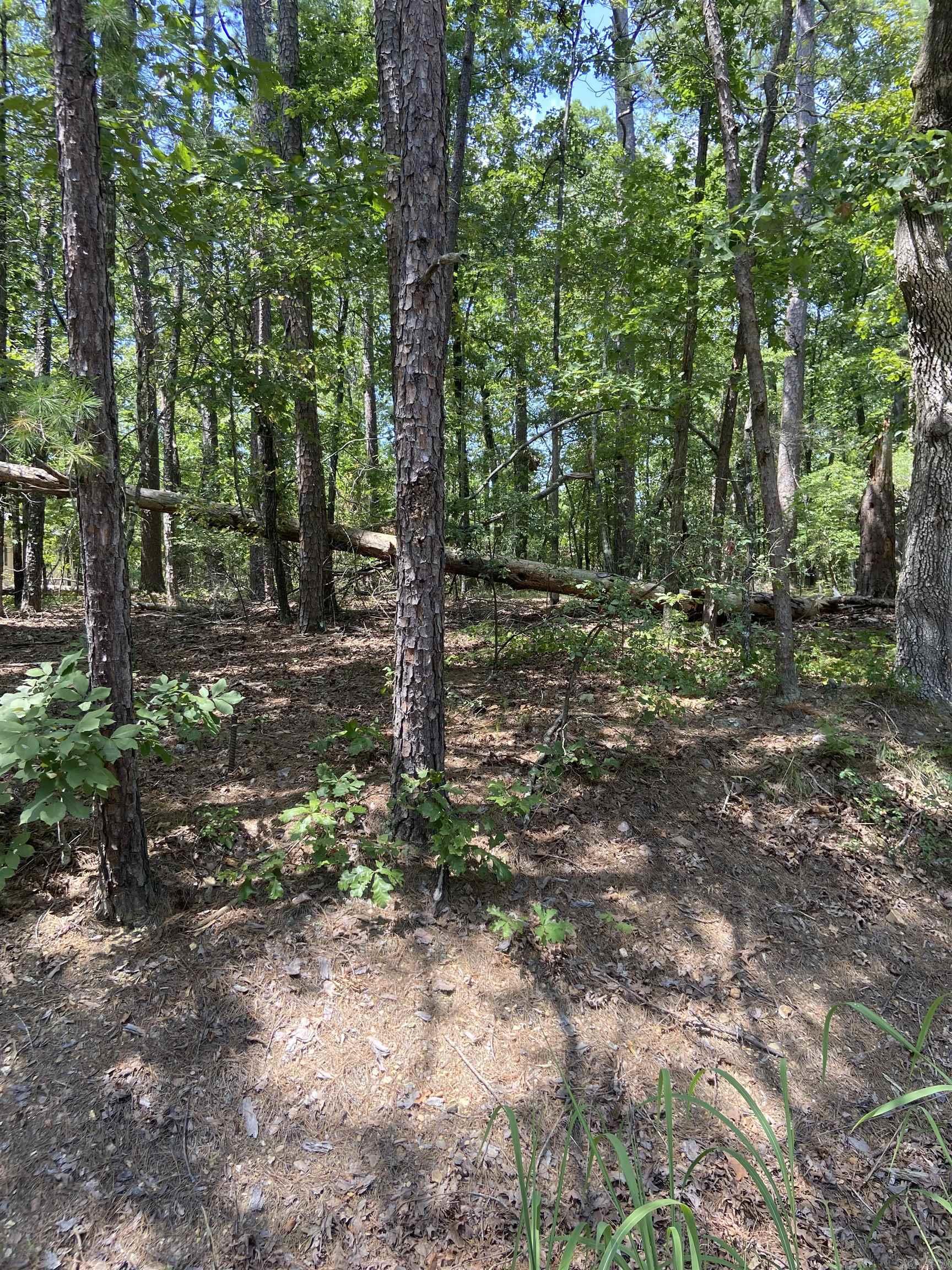 13  Reata  Hot Springs Village, AR