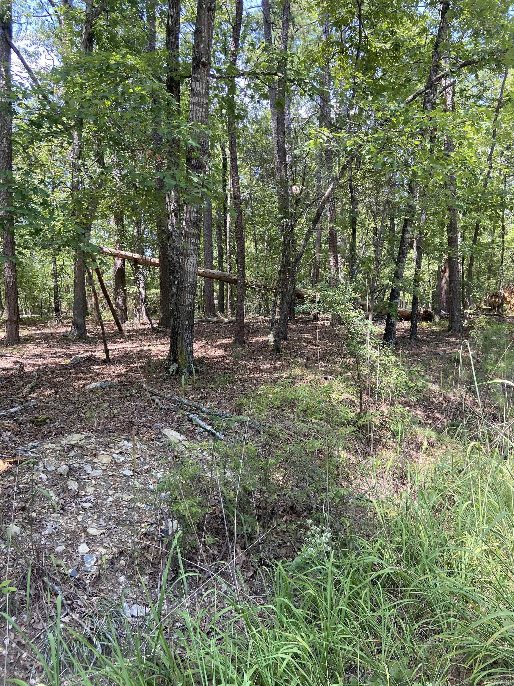 13  Reata  Hot Springs Village, AR