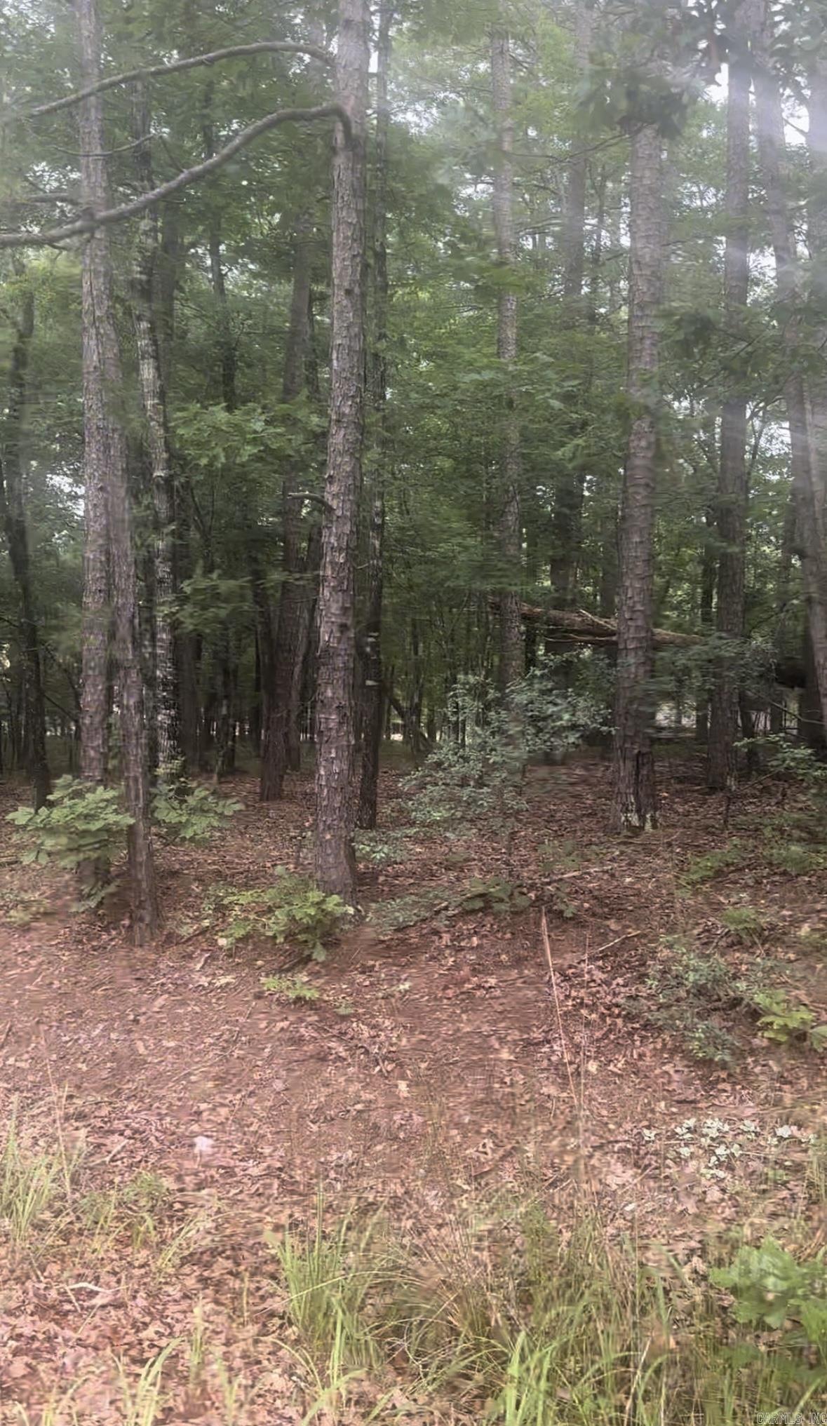 13  Reata  Hot Springs Village, AR