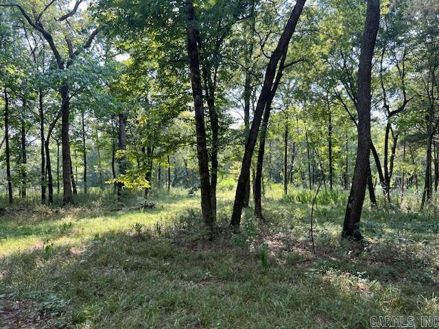 Unk  Polk 25 East  Hatfield, AR