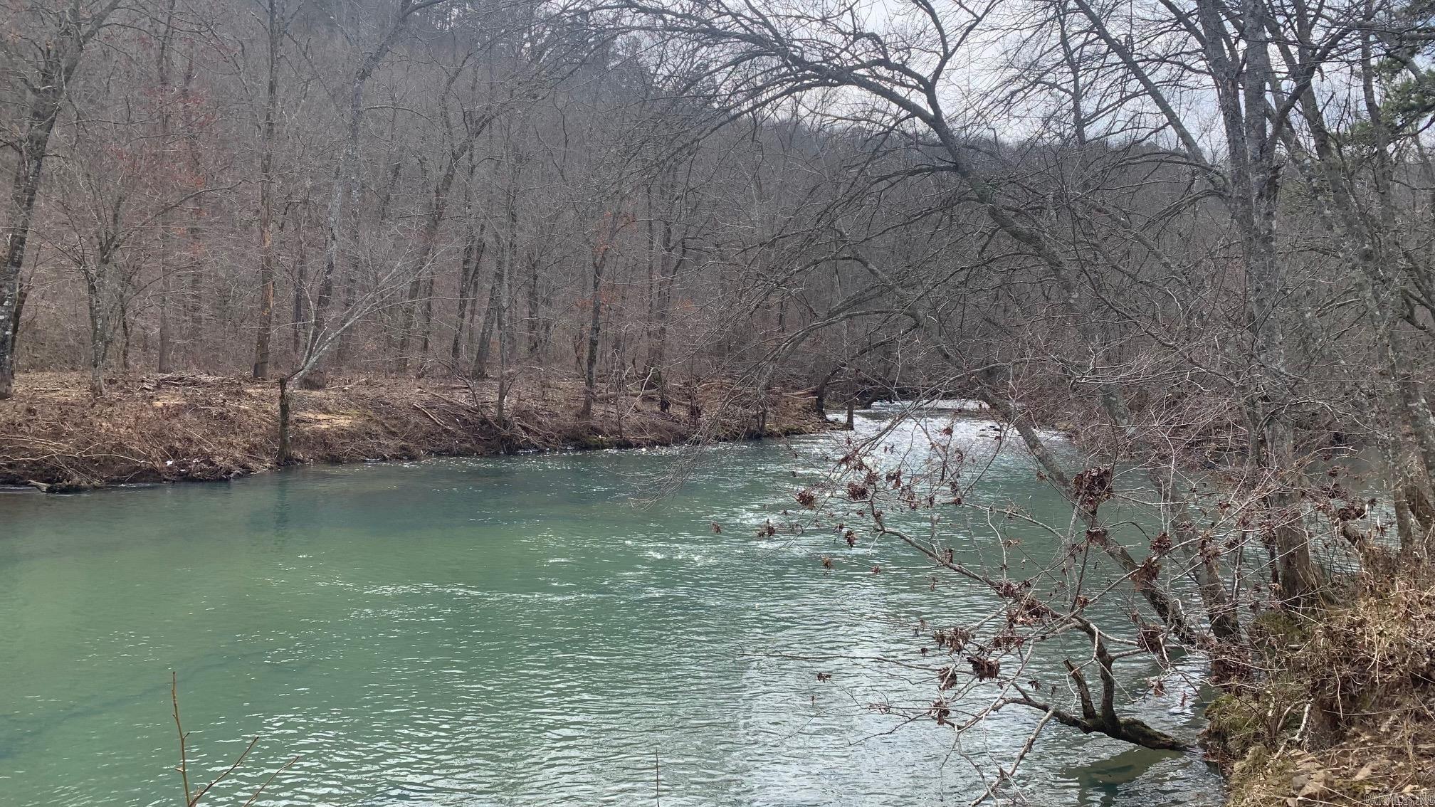 1602  Turkey Creek  Mountain View, AR