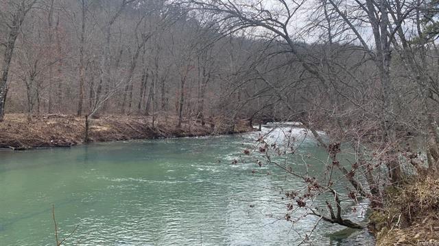 1602  Turkey Creek  Mountain View, AR