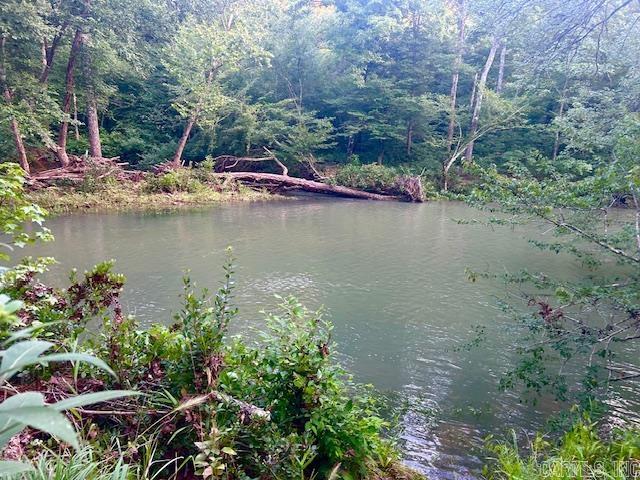 1602  Turkey Creek  Mountain View, AR