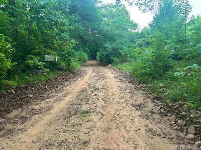 1602  Turkey Creek  Mountain View, AR