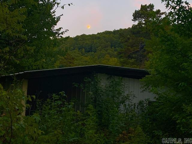 1602  Turkey Creek  Mountain View, AR