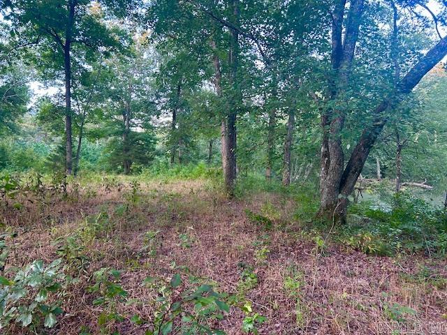 1602  Turkey Creek  Mountain View, AR