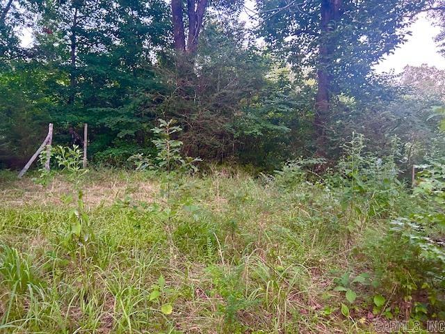 1602  Turkey Creek  Mountain View, AR