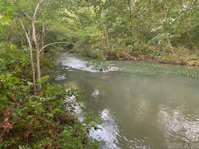 1602  Turkey Creek  Mountain View, AR