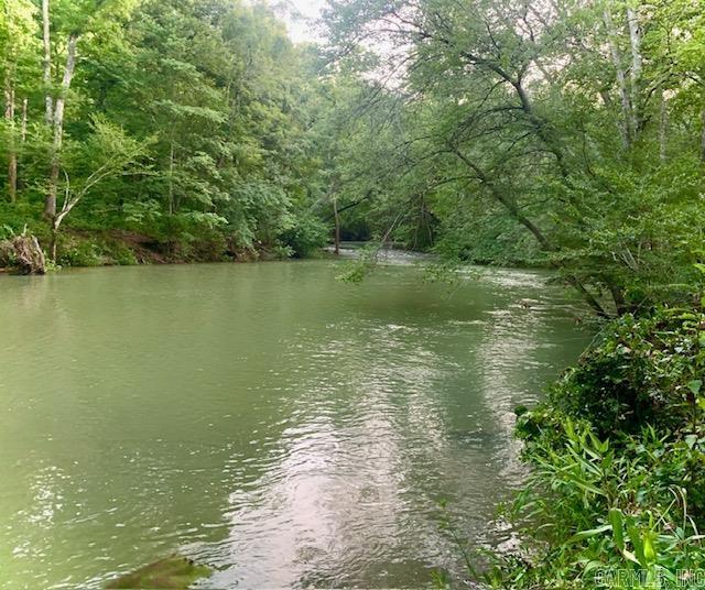 1602  Turkey Creek  Mountain View, AR