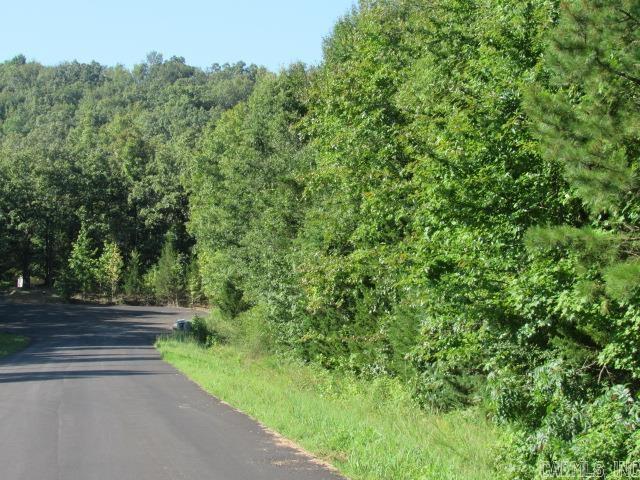14  Stowe Cove  Conway, AR