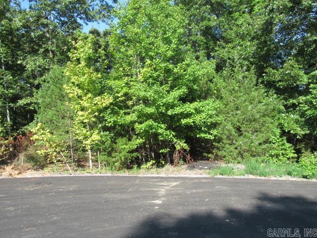 14  Stowe Cove  Conway, AR