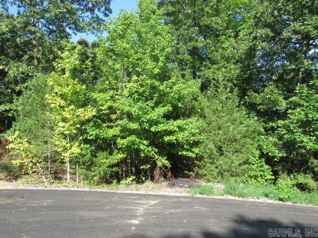 14  Stowe Cove  Conway, AR