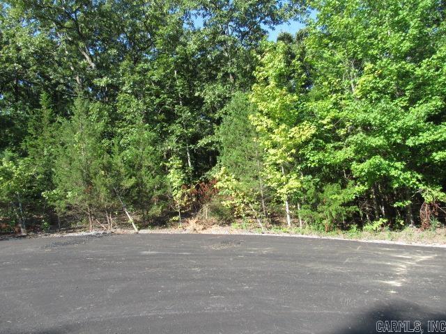 14  Stowe Cove  Conway, AR