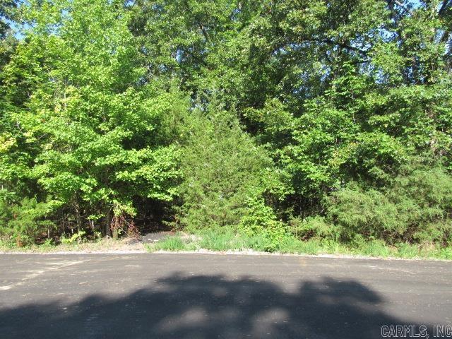 14  Stowe Cove  Conway, AR