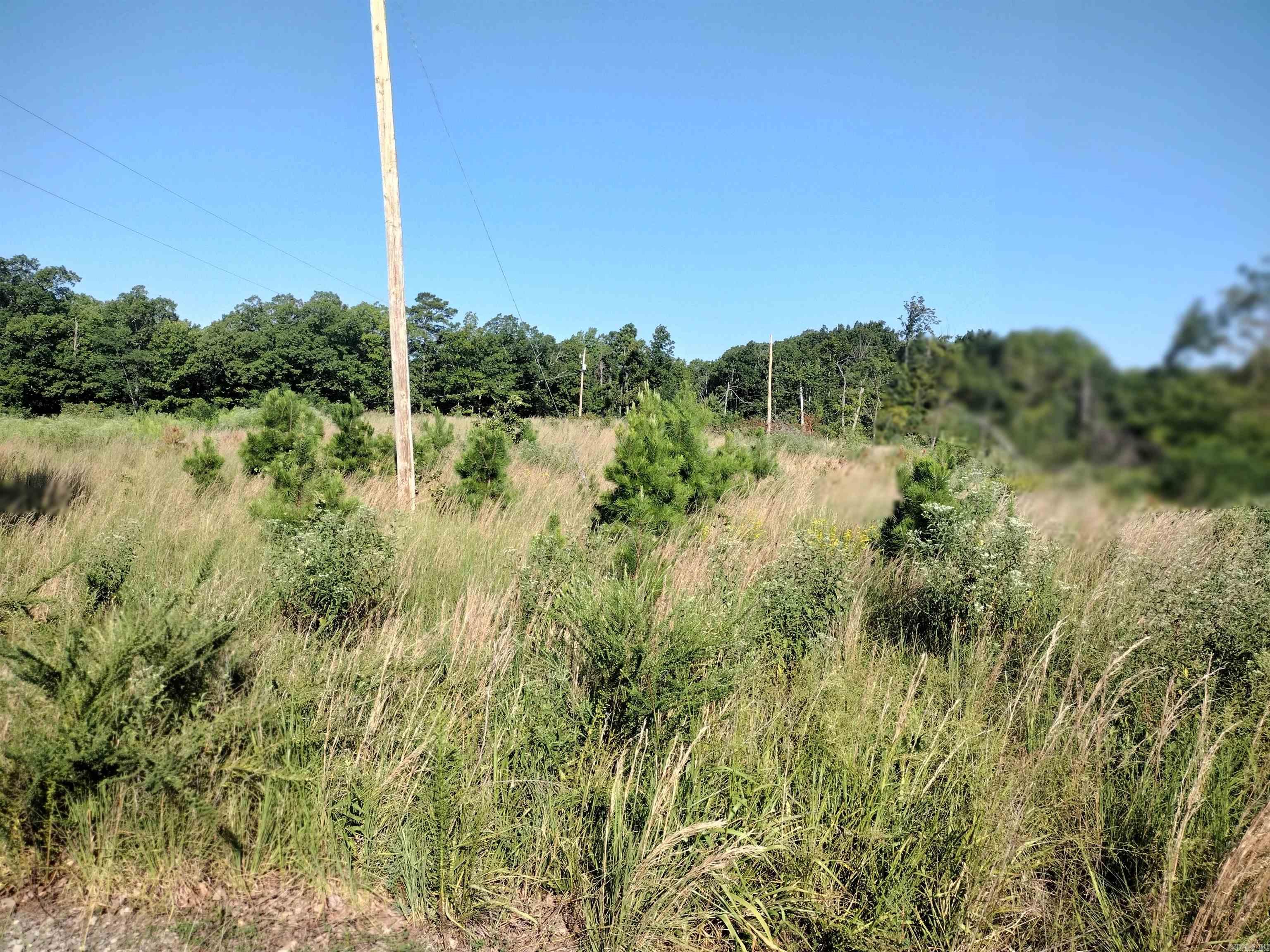 1700  Sutterfield RD  Fox, AR