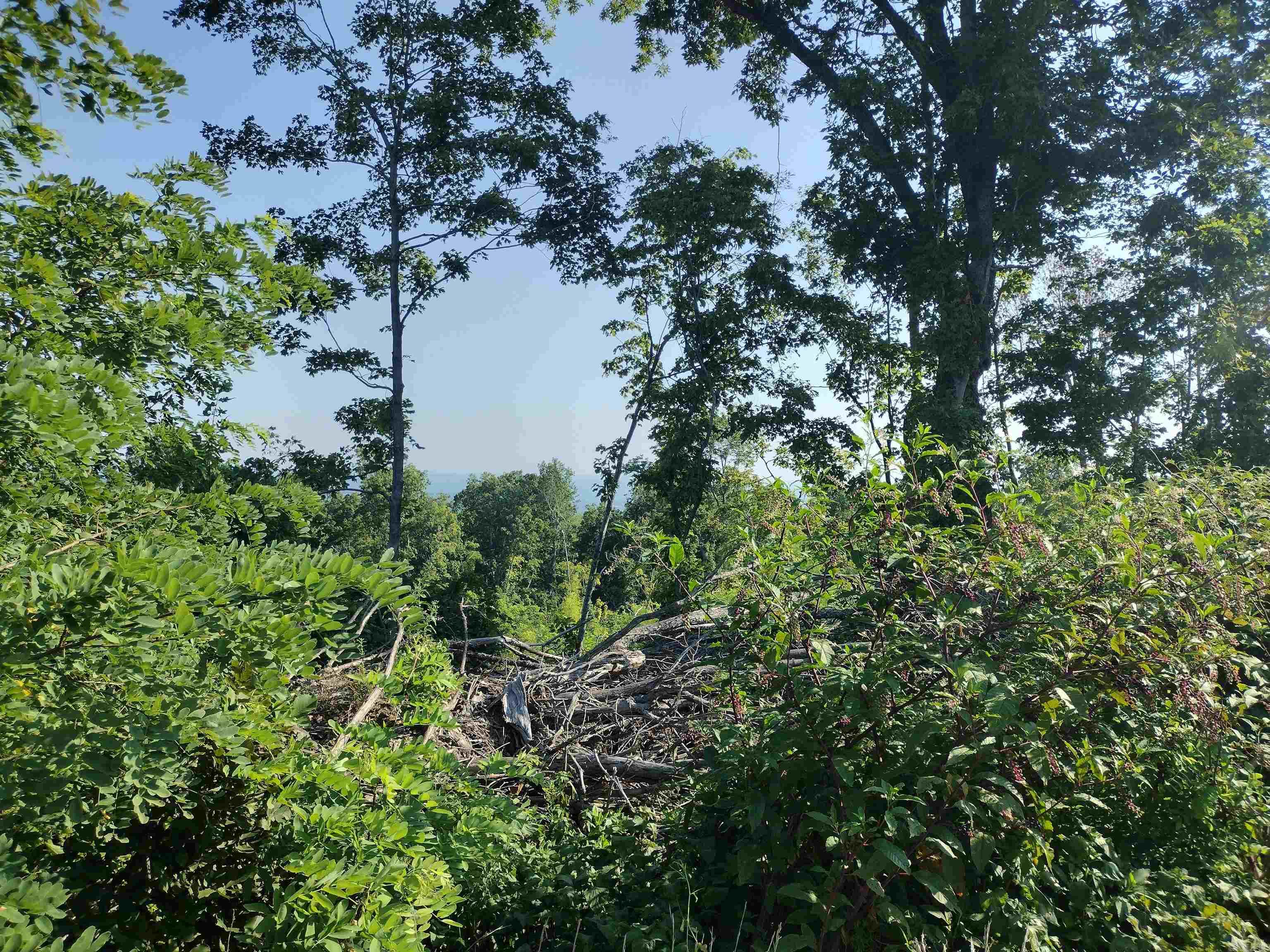 1700  Sutterfield RD  Fox, AR
