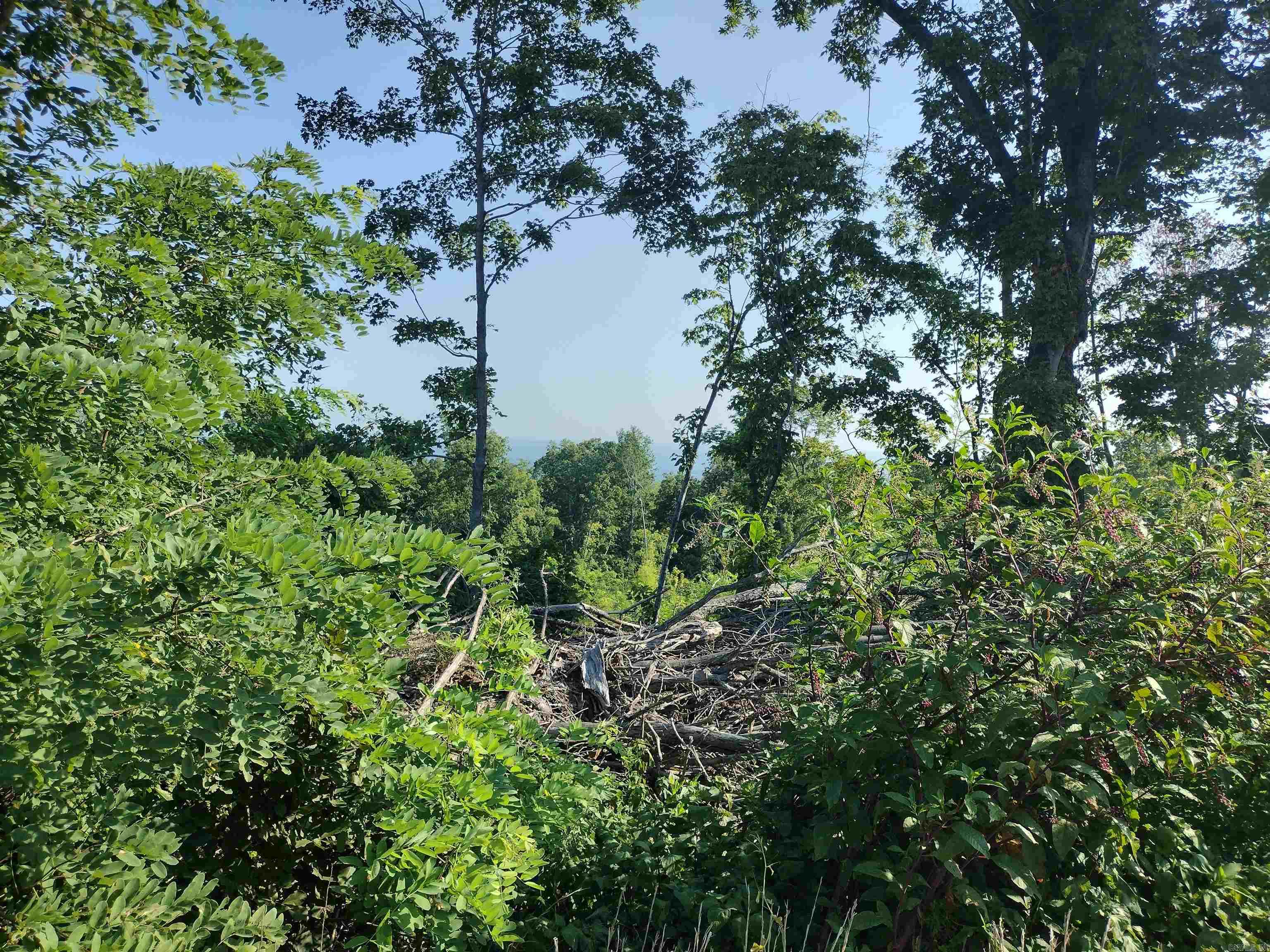 1700  Sutterfield RD  Fox, AR