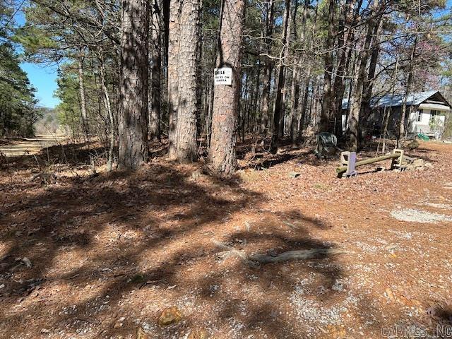 000  Church  Mountain View, AR