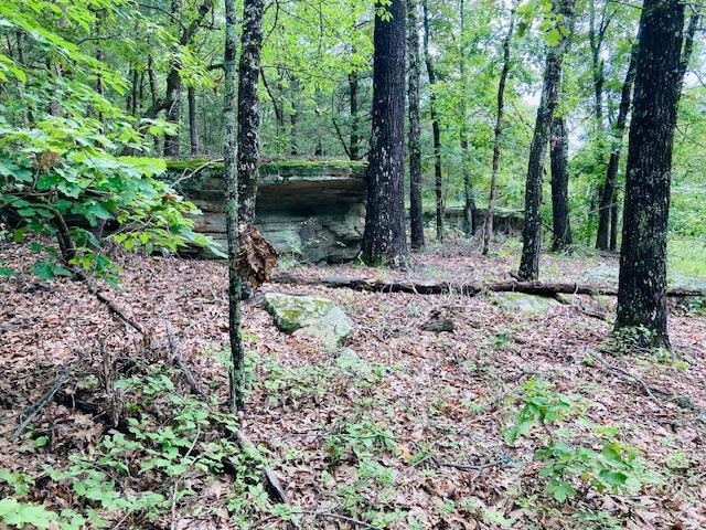0  Dwelle  Old Joe, AR