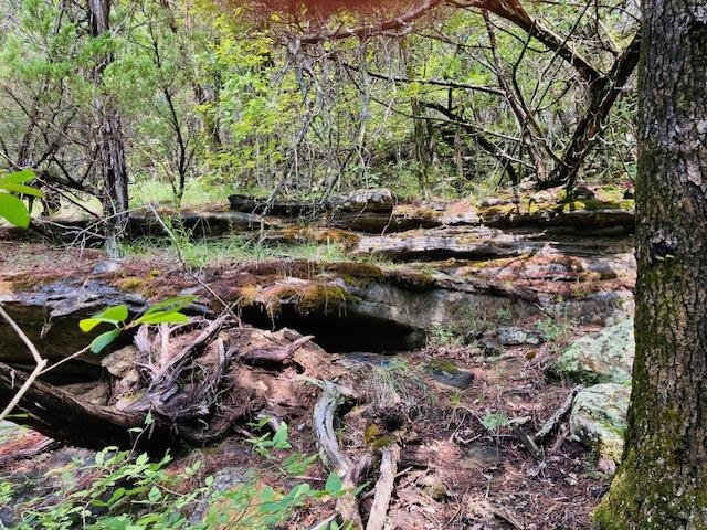 0  Dwelle  Old Joe, AR