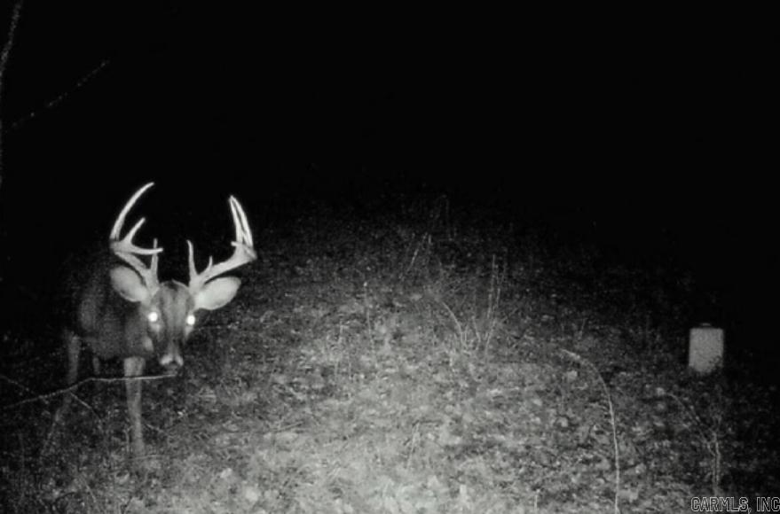 TBD  Janesville Rd.  Oak Grove Village, LA