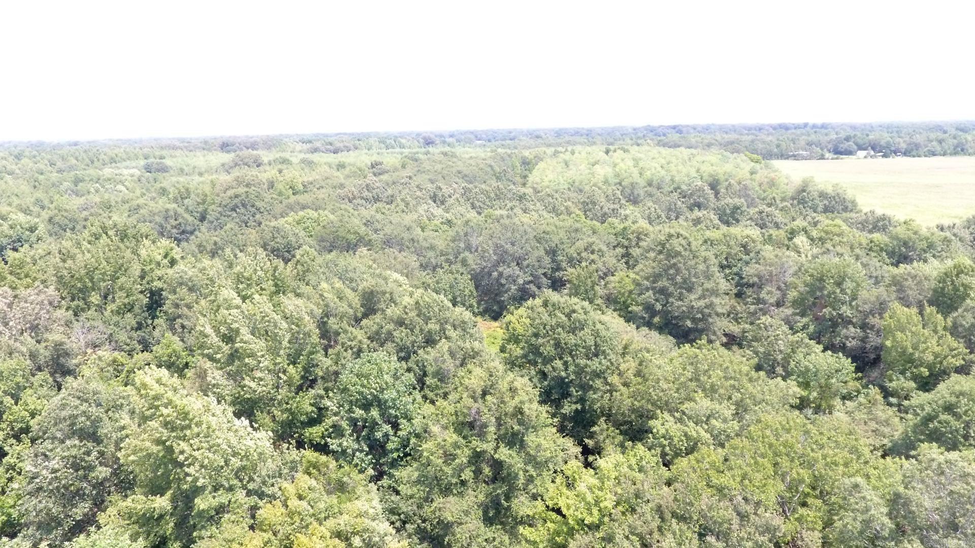 TBD  Janesville Rd  Oak Grove Village, LA