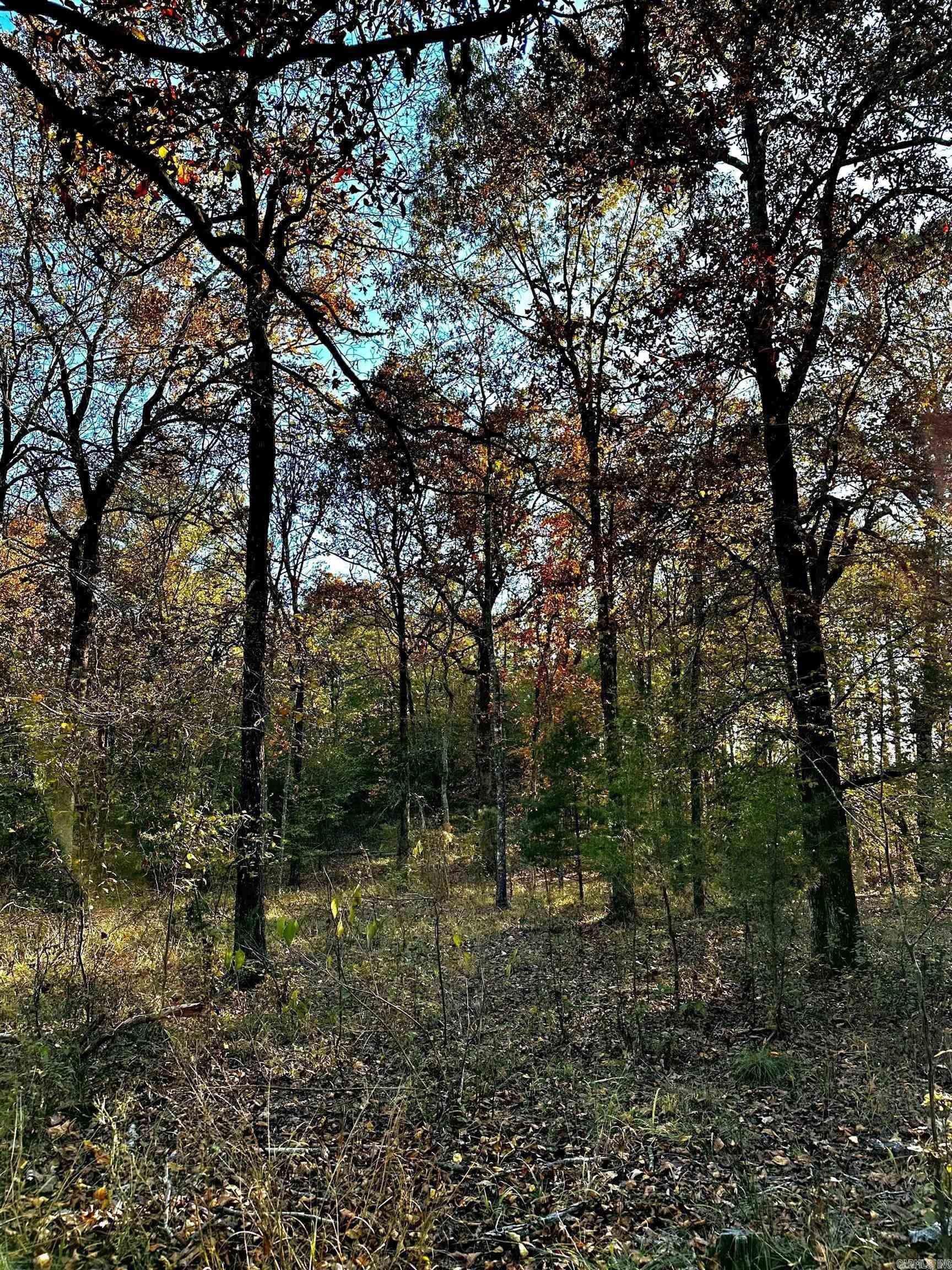 Tract 2  TBD Polk 31  Cove, AR