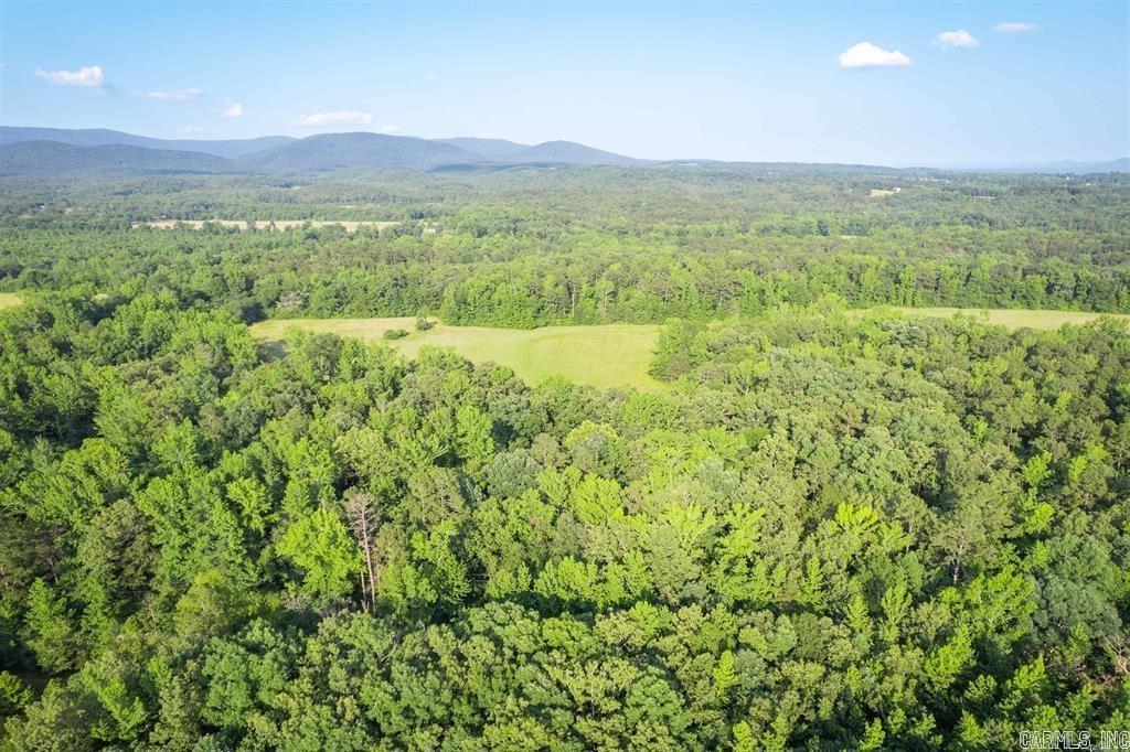 TBD Polk Road  125 Lot 1 Lot 1 Mena, AR