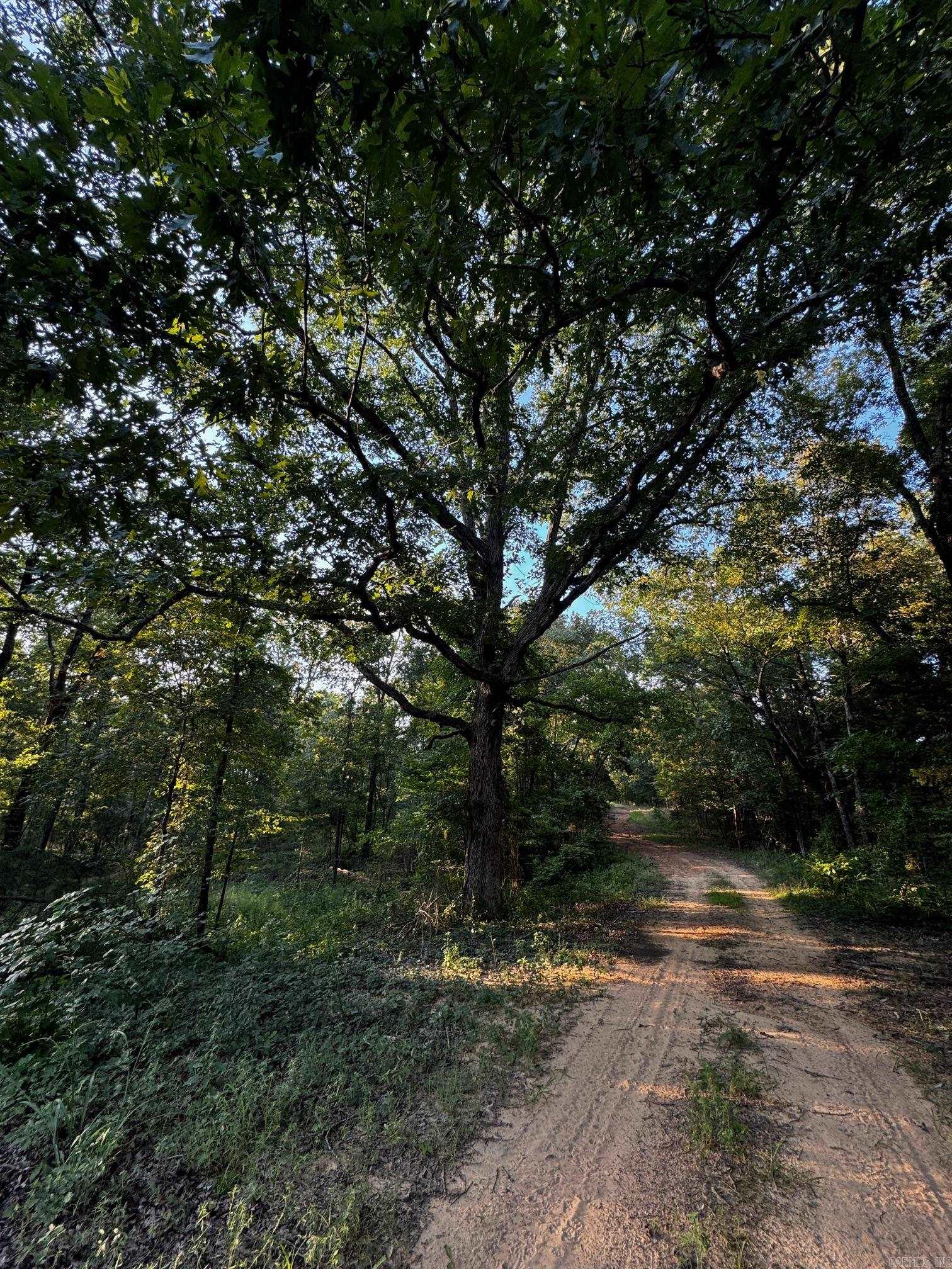 192  Sweetgum Hollow  Sidon, AR