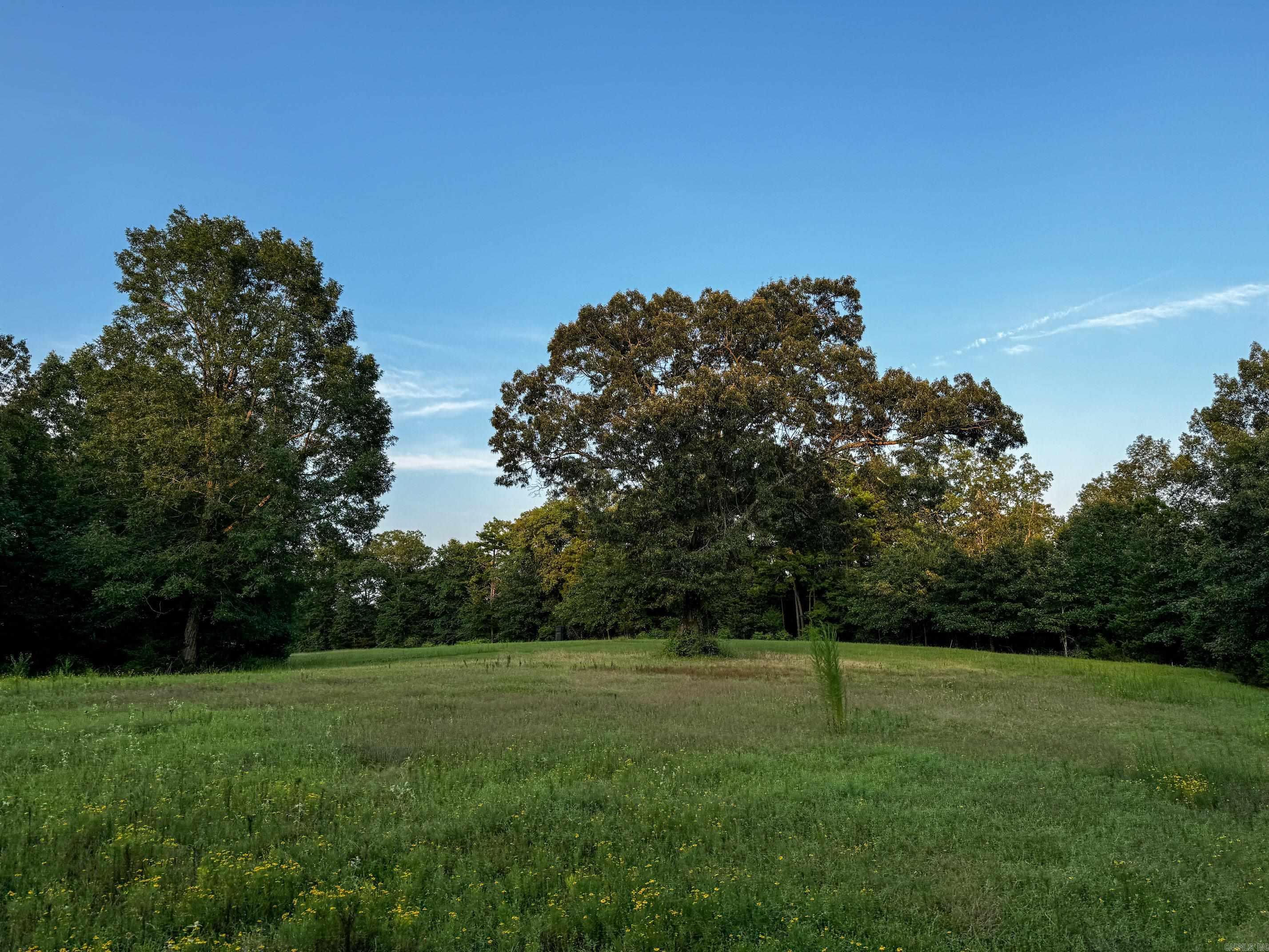 192  Sweetgum Hollow  Sidon, AR