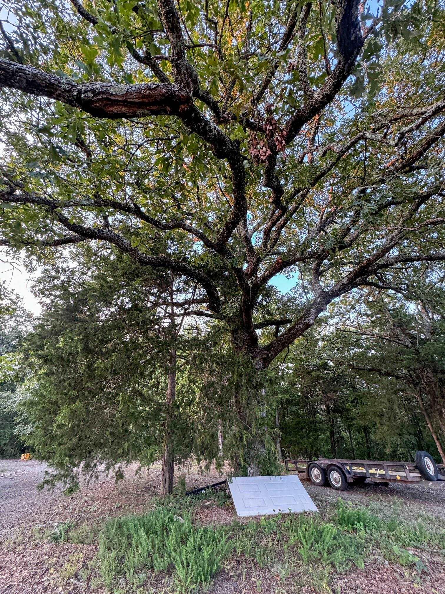 192  Sweetgum Hollow  Sidon, AR