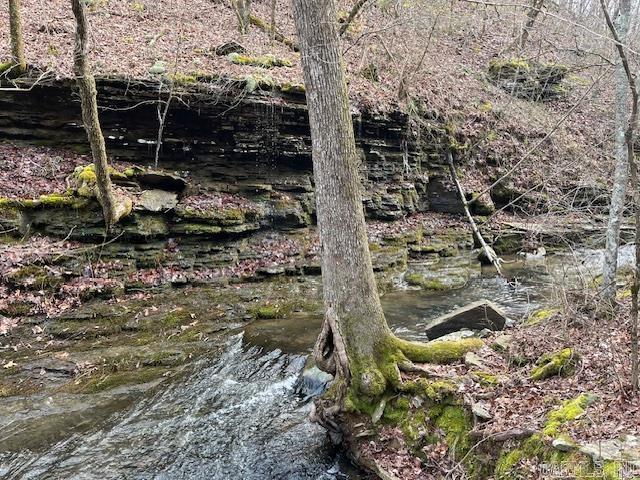 192  Sweetgum Hollow  Sidon, AR