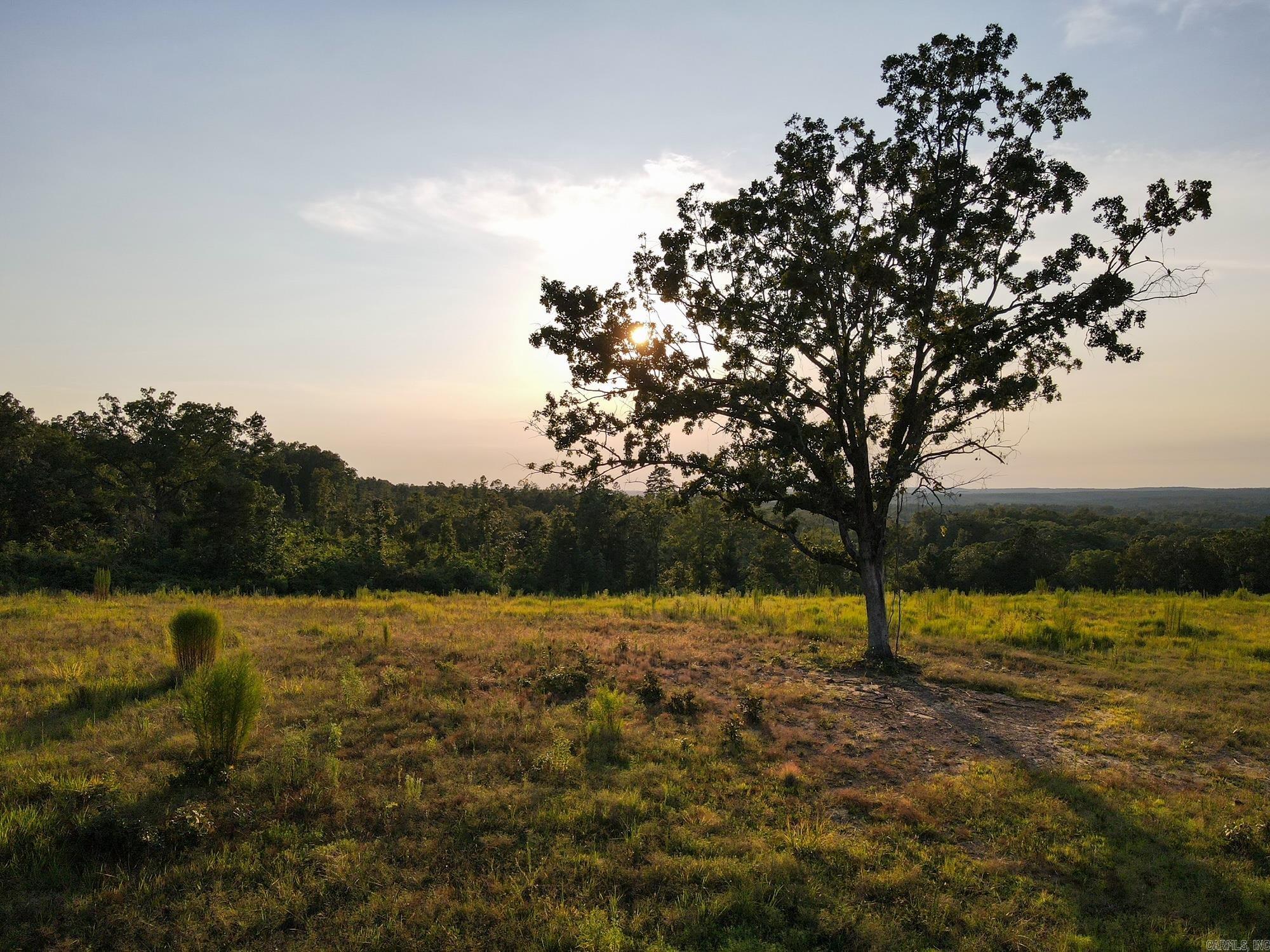 192  Sweetgum Hollow  Sidon, AR